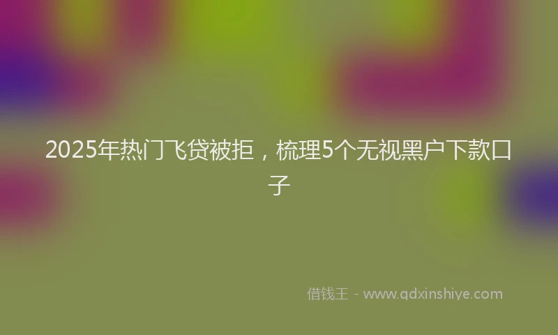 2025年热门飞贷被拒，梳理5个无视黑户下款口子