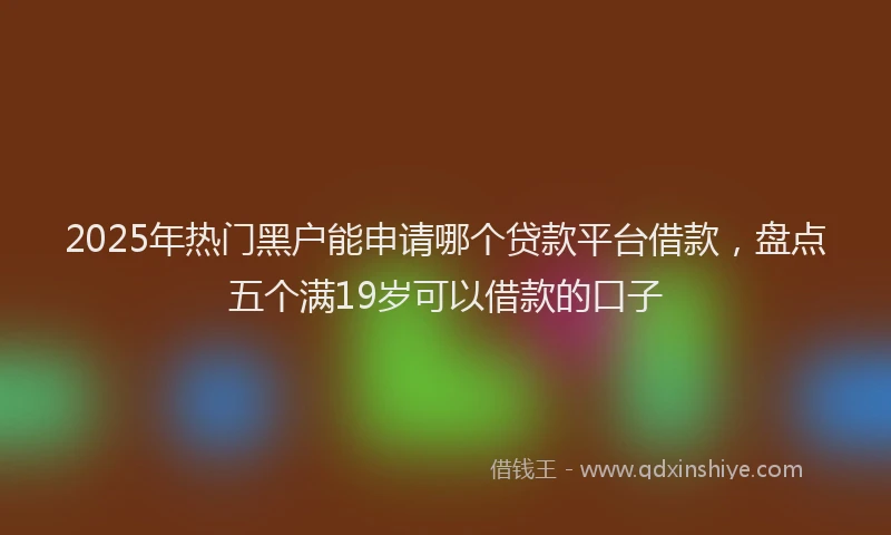 2025年热门黑户能申请哪个贷款平台借款，盘点五个满19岁可以借款的口子