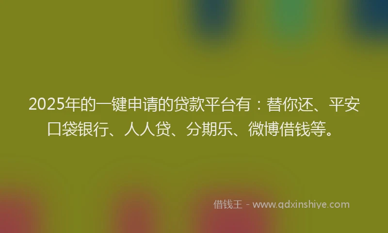 2025年的一键申请的贷款平台有：替你还、平安口袋银行、人人贷、分期乐、微博借钱等。