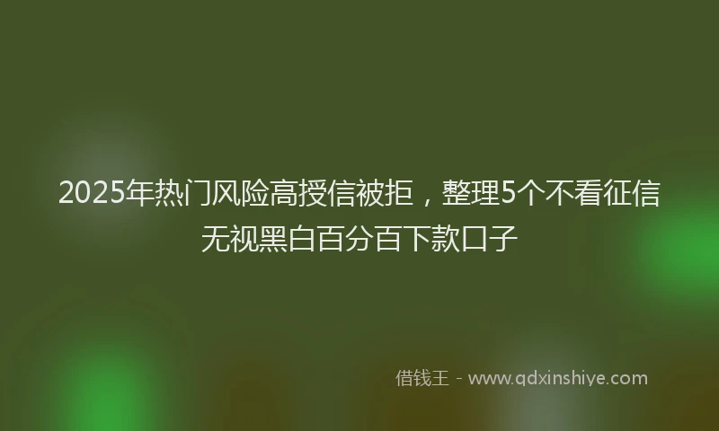 2025年热门风险高授信被拒，整理5个不看征信无视黑白百分百下款口子