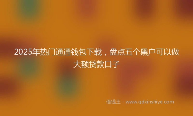 2025年热门通通钱包下载，盘点五个黑户可以做大额贷款口子
