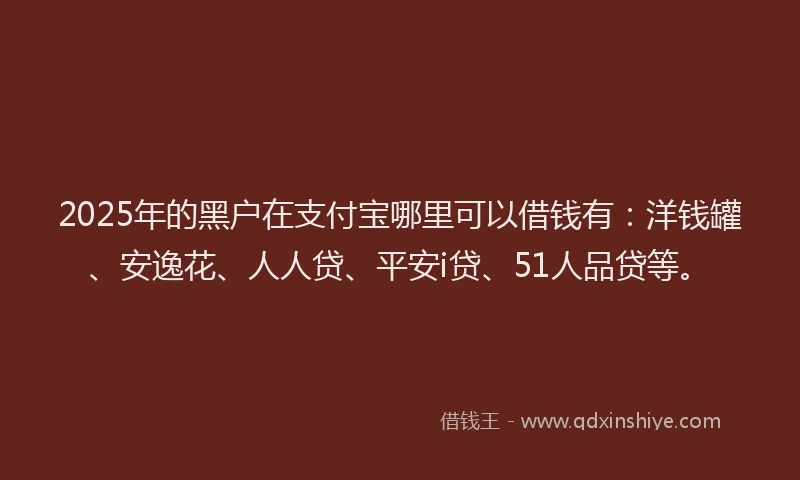2025年的黑户在支付宝哪里可以借钱有：洋钱罐、安逸花、人人贷、平安i贷、51人品贷等。