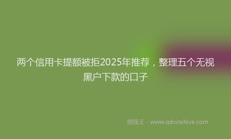 两个信用卡提额被拒2025年推荐，整理五个无视黑户下款的口子