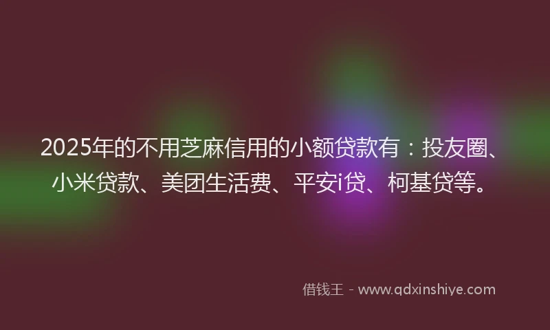 2025年的不用芝麻信用的小额贷款有：投友圈、小米贷款、美团生活费、平安i贷、柯基贷等。