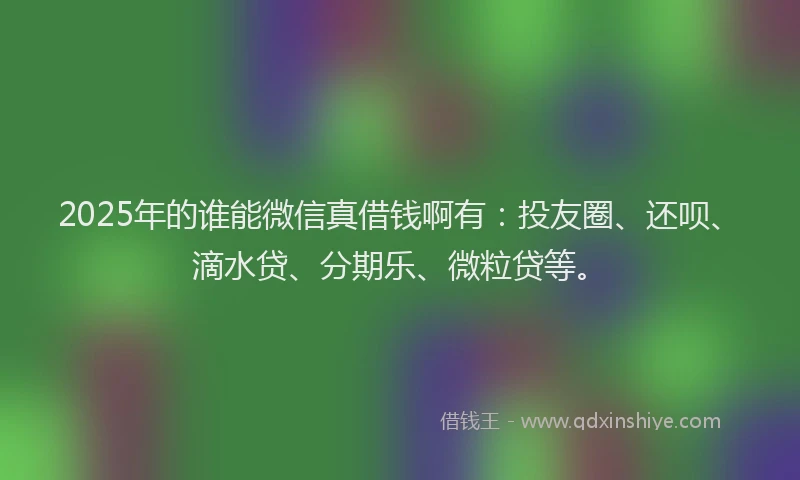 2025年的谁能微信真借钱啊有：投友圈、还呗、滴水贷、分期乐、微粒贷等。