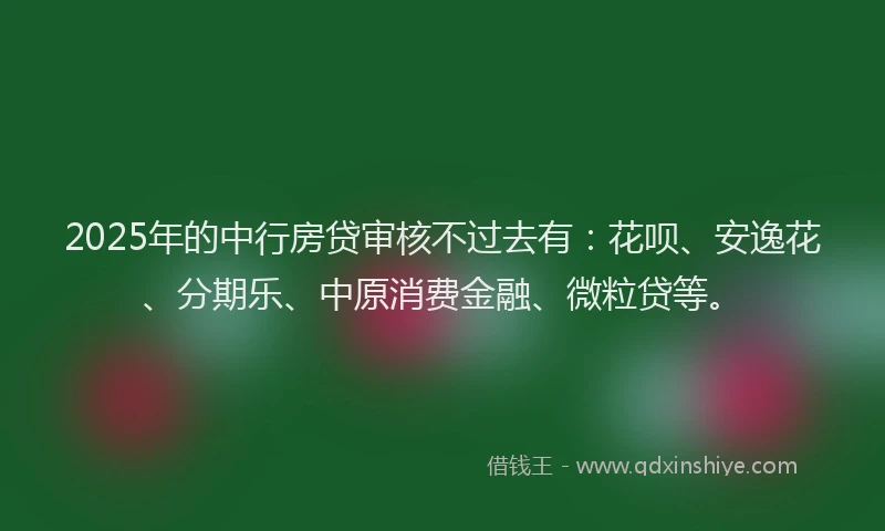 2025年的中行房贷审核不过去有：花呗、安逸花、分期乐、中原消费金融、微粒贷等。