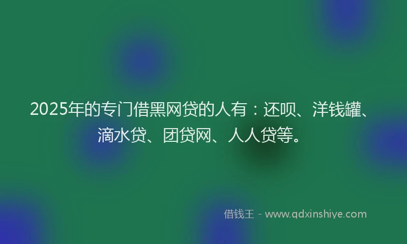 2025年的专门借黑网贷的人有：还呗、洋钱罐、滴水贷、团贷网、人人贷等。
