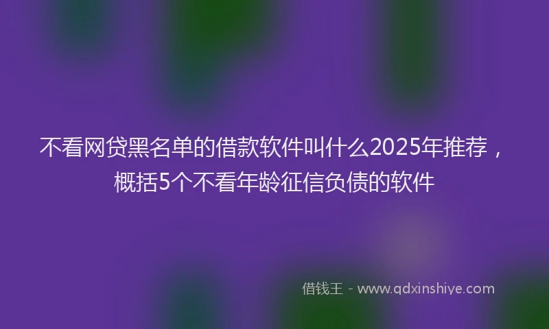 不看网贷黑名单的借款软件叫什么2025年推荐，概括5个不看年龄征信负债的软件
