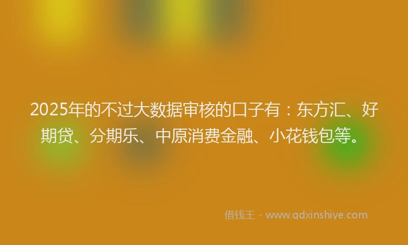2025年的不过大数据审核的口子有：东方汇、好期贷、分期乐、中原消费金融、小花钱包等。