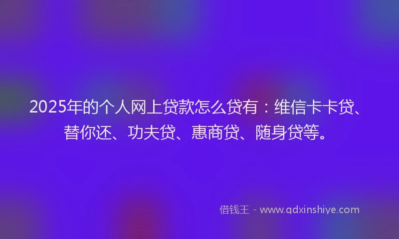 2025年的个人网上贷款怎么贷有：维信卡卡贷、替你还、功夫贷、惠商贷、随身贷等。