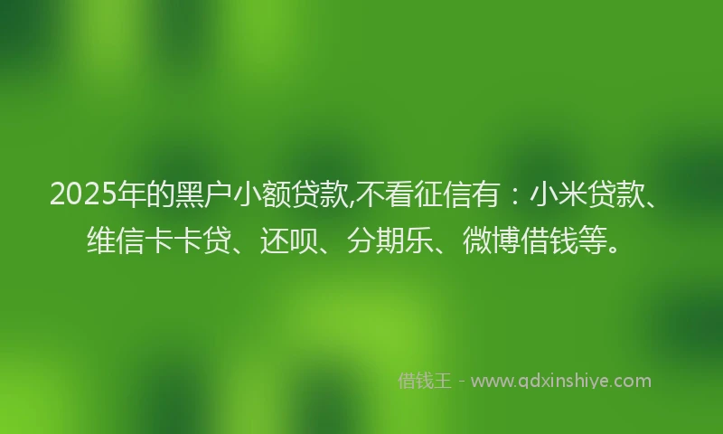 2025年的黑户小额贷款,不看征信有：小米贷款、维信卡卡贷、还呗、分期乐、微博借钱等。