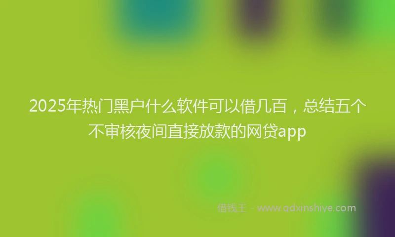 2025年热门黑户什么软件可以借几百，总结五个不审核夜间直接放款的网贷app