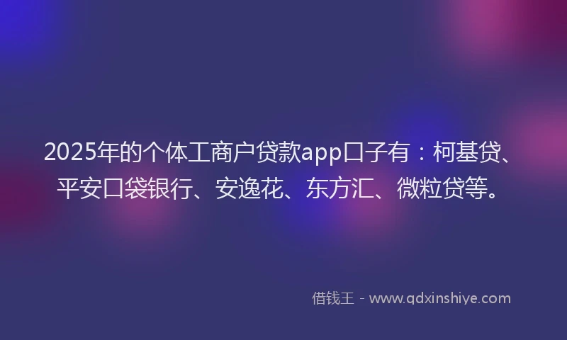 2025年的个体工商户贷款app口子有：柯基贷、平安口袋银行、安逸花、东方汇、微粒贷等。