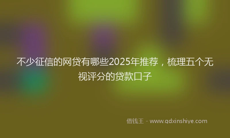 不少征信的网贷有哪些2025年推荐，梳理五个无视评分的贷款口子