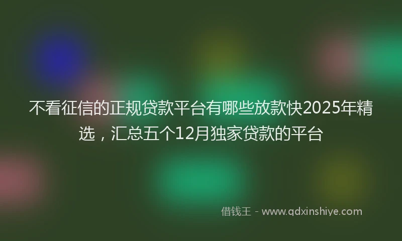 不看征信的正规贷款平台有哪些放款快2025年精选，汇总五个12月独家贷款的平台
