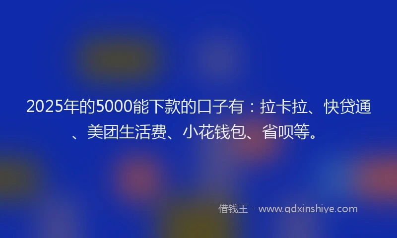 2025年的5000能下款的口子有：拉卡拉、快贷通、美团生活费、小花钱包、省呗等。
