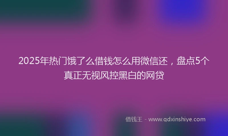 2025年热门饿了么借钱怎么用微信还，盘点5个真正无视风控黑白的网贷