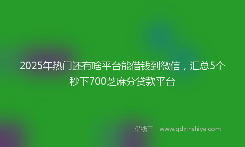 2025年热门还有啥平台能借钱到微信，汇总5个秒下700芝麻分贷款平台
