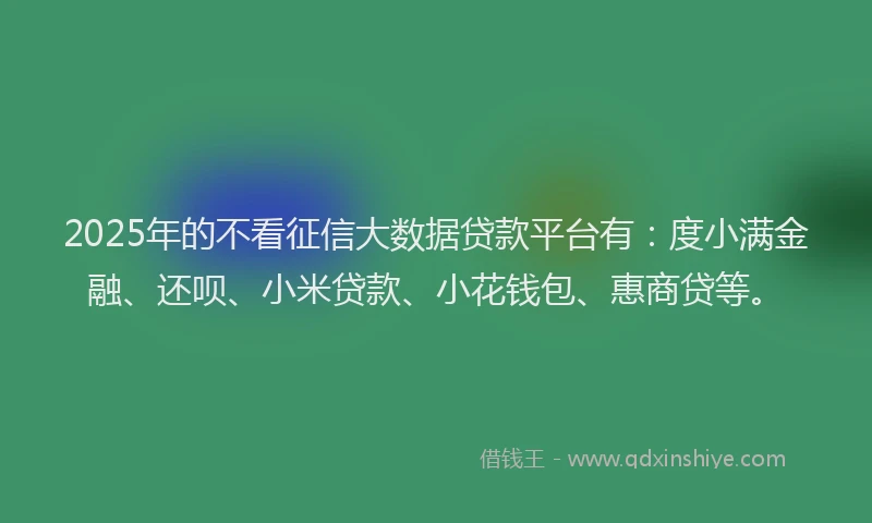 2025年的不看征信大数据贷款平台有：度小满金融、还呗、小米贷款、小花钱包、惠商贷等。