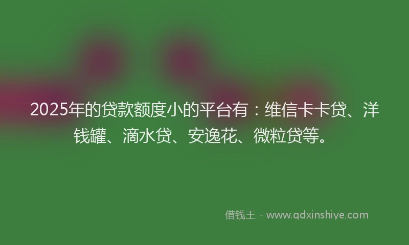 2025年的贷款额度小的平台有：维信卡卡贷、洋钱罐、滴水贷、安逸花、微粒贷等。