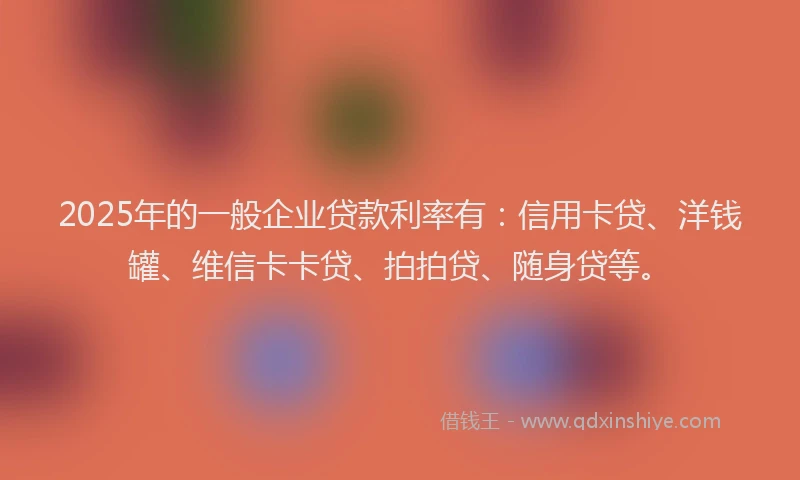 2025年的一般企业贷款利率有：信用卡贷、洋钱罐、维信卡卡贷、拍拍贷、随身贷等。