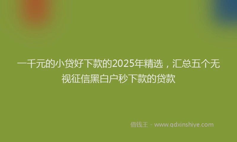 一千元的小贷好下款的2025年精选，汇总五个无视征信黑白户秒下款的贷款