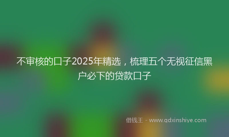 不审核的口子2025年精选，梳理五个无视征信黑户必下的贷款口子