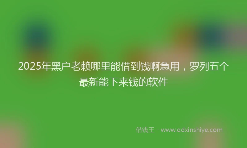 2025年黑户老赖哪里能借到钱啊急用，罗列五个最新能下来钱的软件