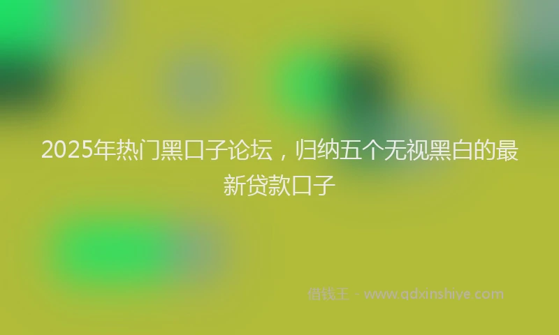 2025年热门黑口子论坛，归纳五个无视黑白的最新贷款口子