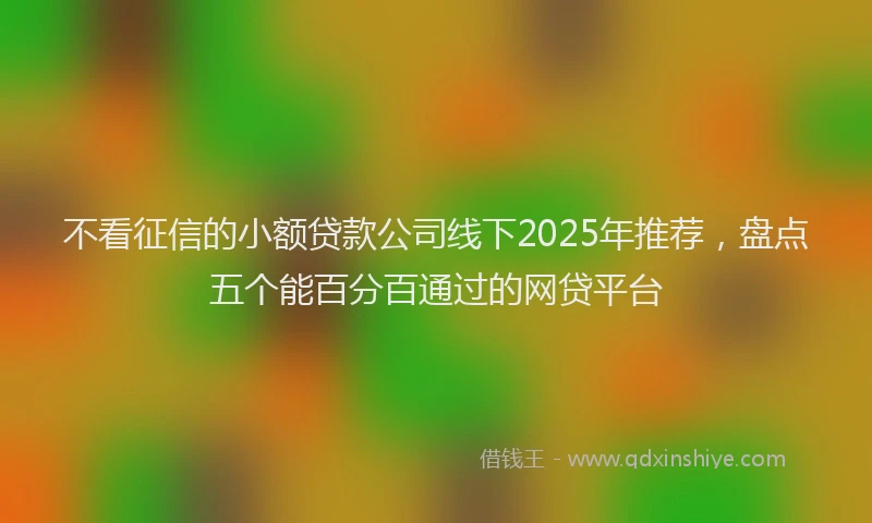 不看征信的小额贷款公司线下2025年推荐，盘点五个能百分百通过的网贷平台