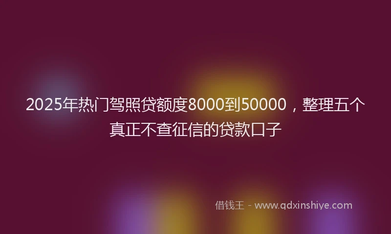 2025年热门驾照贷额度8000到50000，整理五个真正不查征信的贷款口子