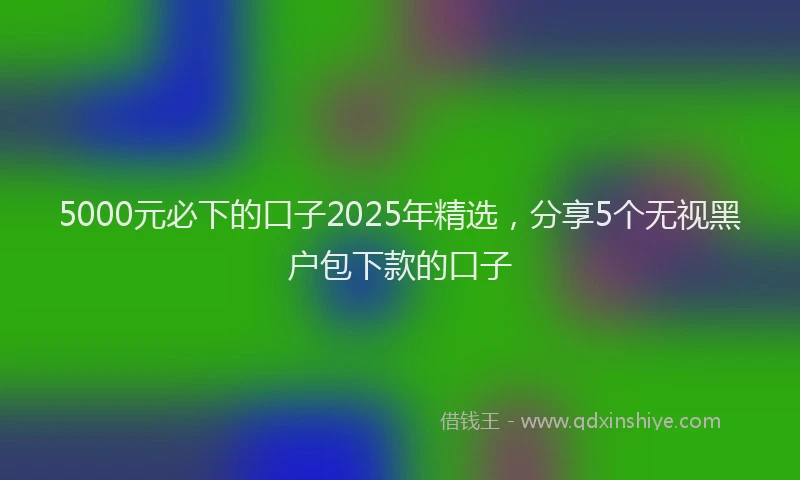 5000元必下的口子2025年精选，分享5个无视黑户包下款的口子