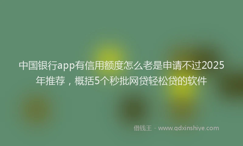 中国银行app有信用额度怎么老是申请不过2025年推荐，概括5个秒批网贷轻松贷的软件