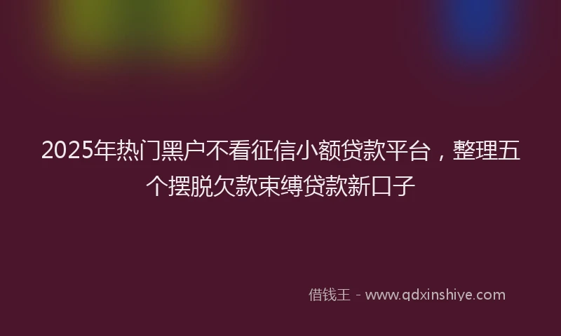 2025年热门黑户不看征信小额贷款平台，整理五个摆脱欠款束缚贷款新口子