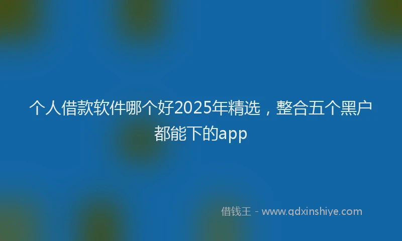 个人借款软件哪个好2025年精选，整合五个黑户都能下的app