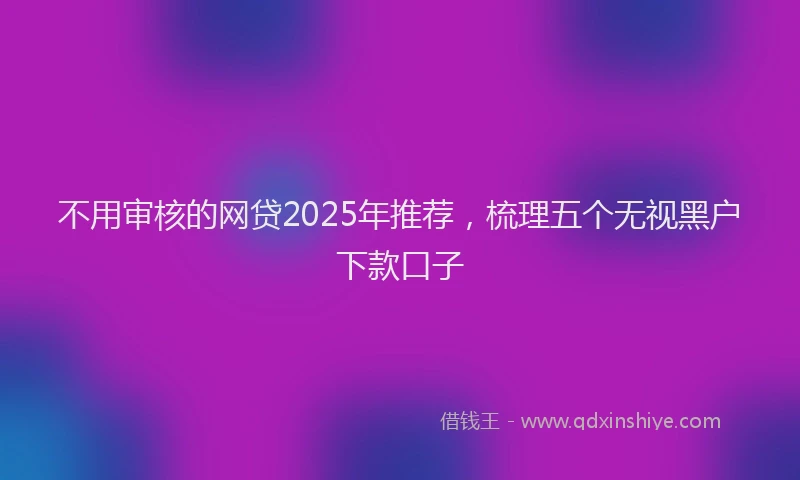 不用审核的网贷2025年推荐，梳理五个无视黑户下款口子