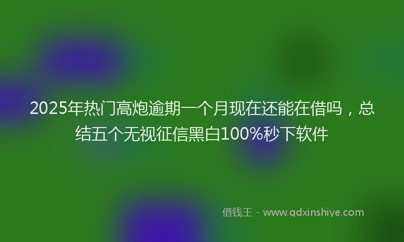 2025年热门高炮逾期一个月现在还能在借吗，总结五个无视征信黑白100%秒下软件