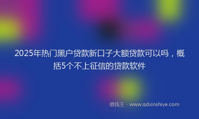 2025年热门黑户贷款新口子大额贷款可以吗，概括5个不上征信的贷款软件