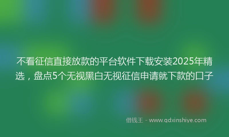 不看征信直接放款的平台软件下载安装2025年精选，盘点5个无视黑白无视征信申请就下款的口子