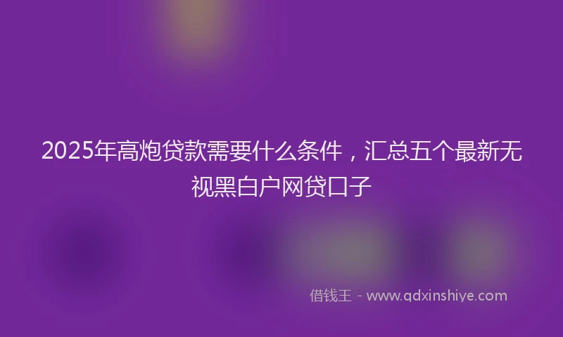 2025年高炮贷款需要什么条件，汇总五个最新无视黑白户网贷口子