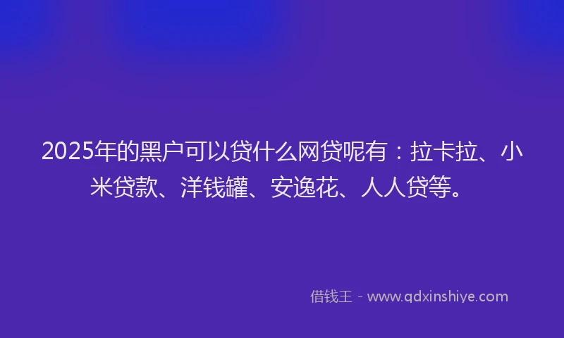 2025年的黑户可以贷什么网贷呢有：拉卡拉、小米贷款、洋钱罐、安逸花、人人贷等。