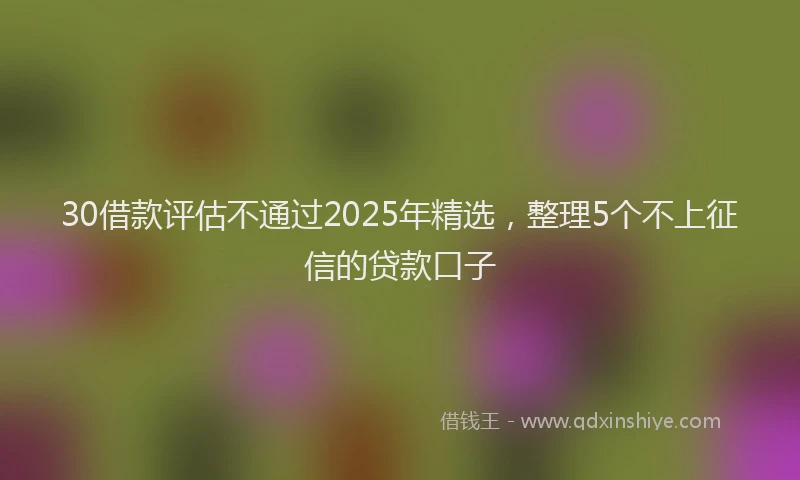 30借款评估不通过2025年精选，整理5个不上征信的贷款口子