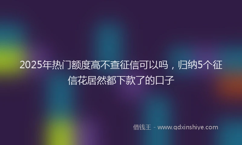 2025年热门额度高不查征信可以吗，归纳5个征信花居然都下款了的口子