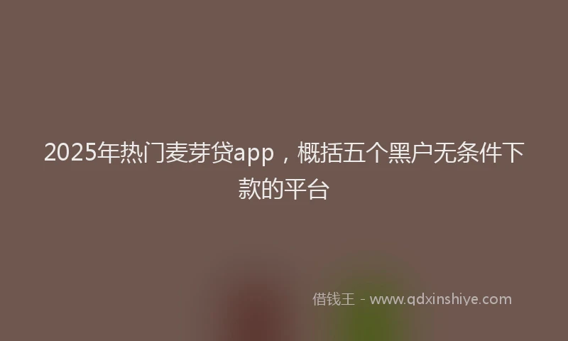 2025年热门麦芽贷app，概括五个黑户无条件下款的平台