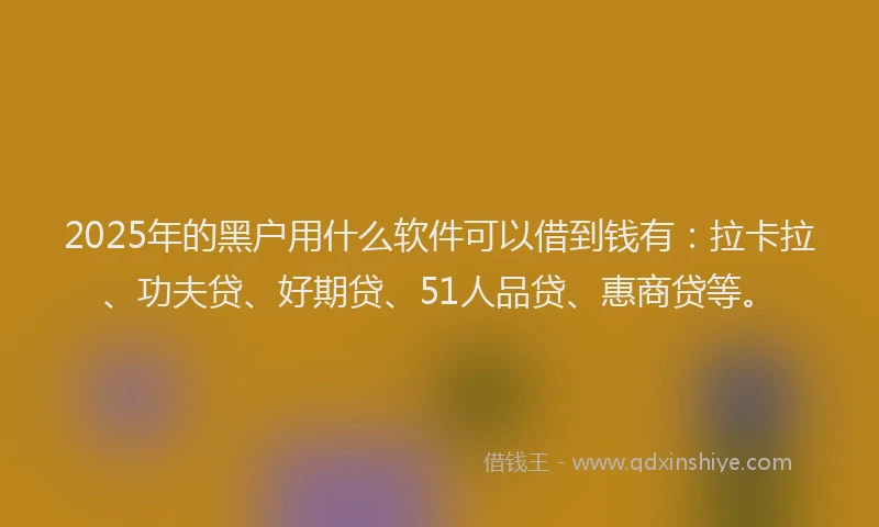 2025年的黑户用什么软件可以借到钱有：拉卡拉、功夫贷、好期贷、51人品贷、惠商贷等。