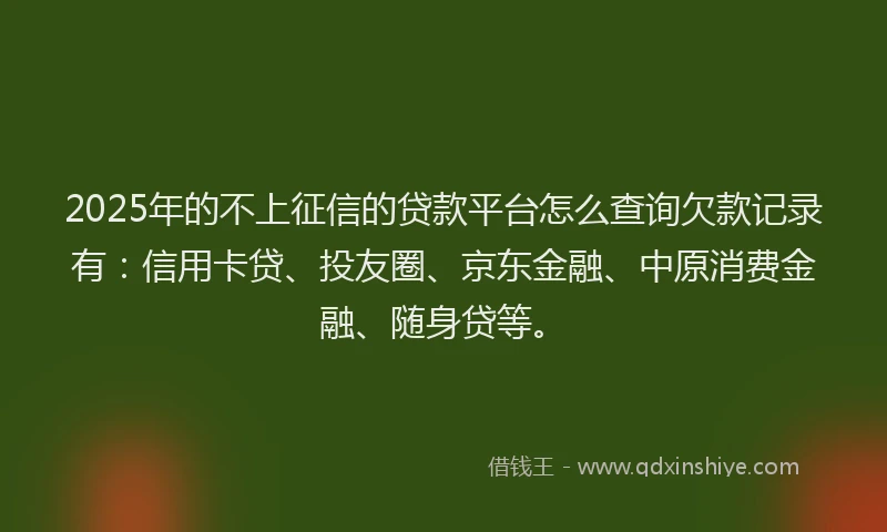 2025年的不上征信的贷款平台怎么查询欠款记录有：信用卡贷、投友圈、京东金融、中原消费金融、随身贷等。
