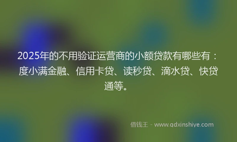 2025年的不用验证运营商的小额贷款有哪些有：度小满金融、信用卡贷、读秒贷、滴水贷、快贷通等。