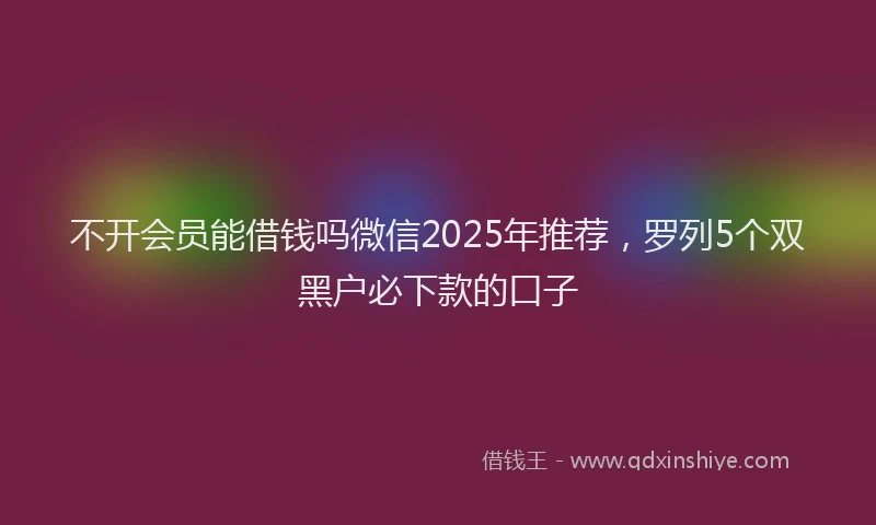 不开会员能借钱吗微信2025年推荐，罗列5个双黑户必下款的口子