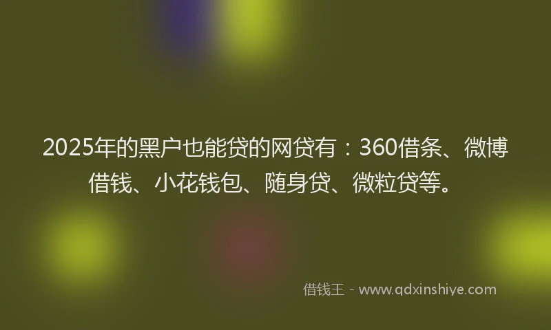 2025年的黑户也能贷的网贷有：360借条、微博借钱、小花钱包、随身贷、微粒贷等。
