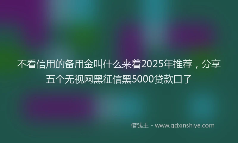不看信用的备用金叫什么来着2025年推荐，分享五个无视网黑征信黑5000贷款口子